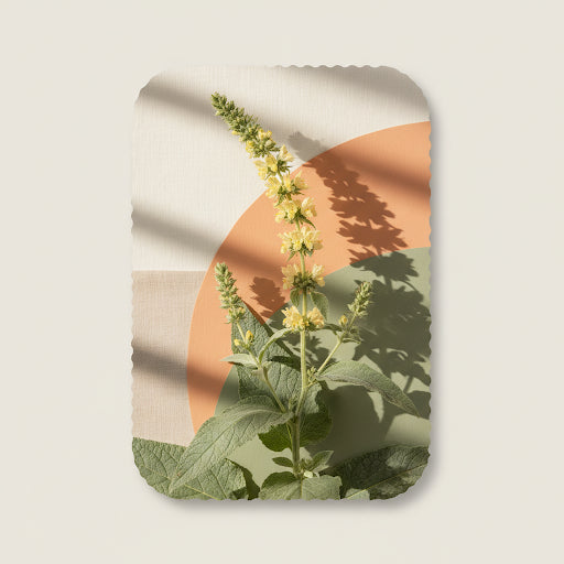 Mullein
